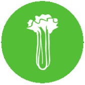 Celery